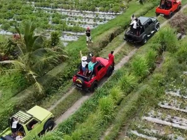Custom Bali Jeep Charter Package jeep tour in Marga, Bali