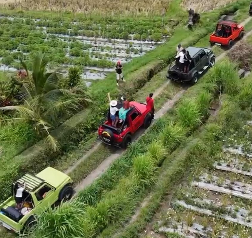 Custom Bali Jeep Charter Package — PJB Jeep Adventure